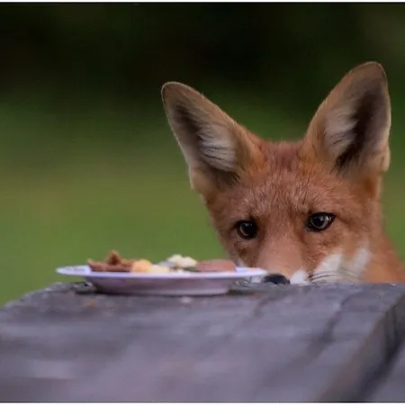 Puhkemaja Veskikivi Holiday Maebe